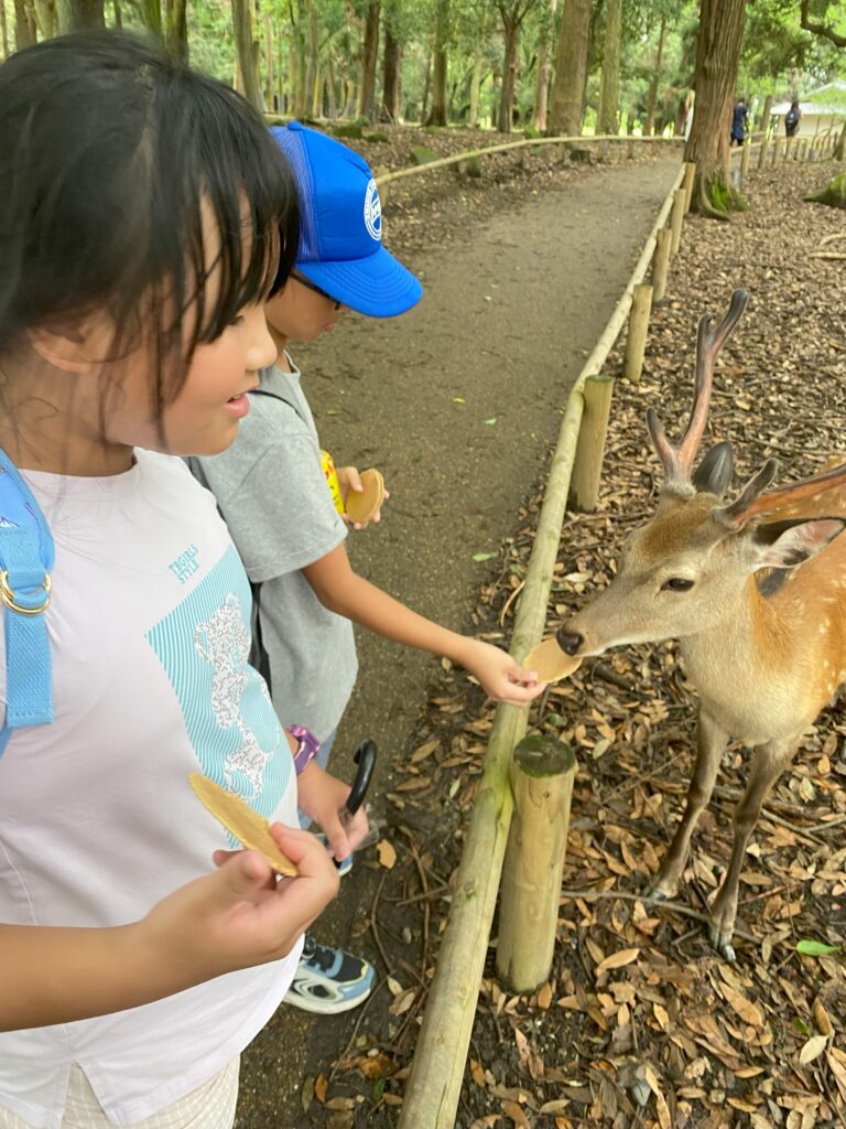 奈良公園餵小鹿